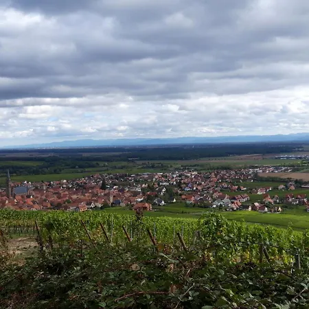 Premium, Au Coeur De L'ours * Dambach