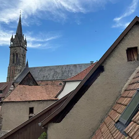 Premium, Au Coeur De L'ours Dambach