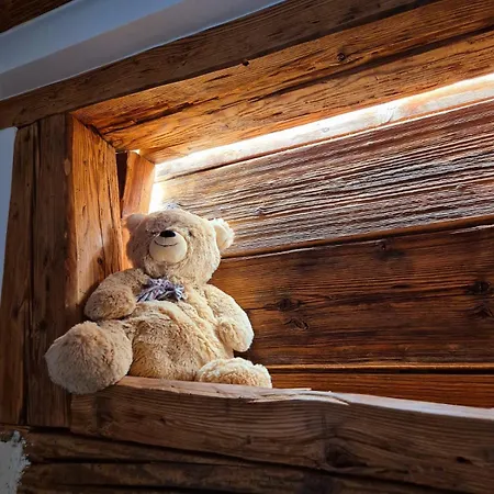 Premium, Au Coeur De L'ours * Dambach