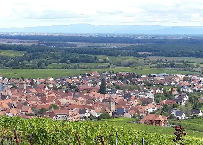 Premium, Au Coeur De L'ours アパート