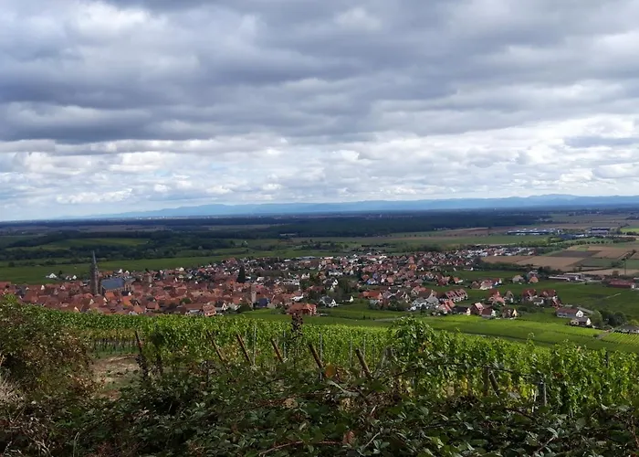 Premium, Au Coeur De L'ours * Dambach