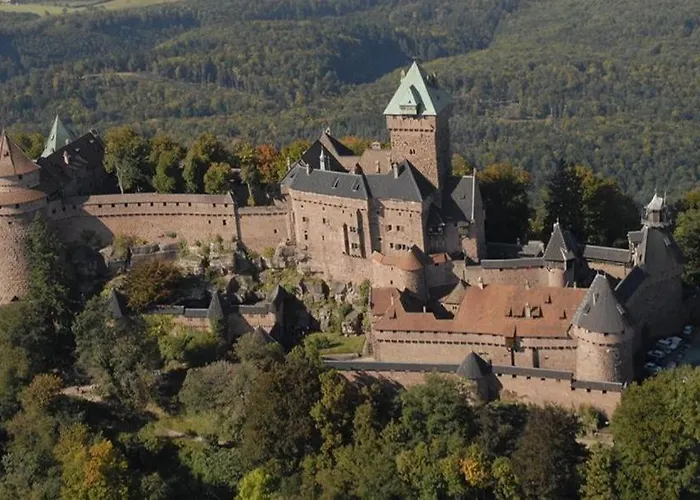 Premium, Au Coeur De L'ours アパート Dambach