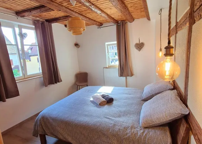 アパート Premium, Au Coeur De L'ours Dambach